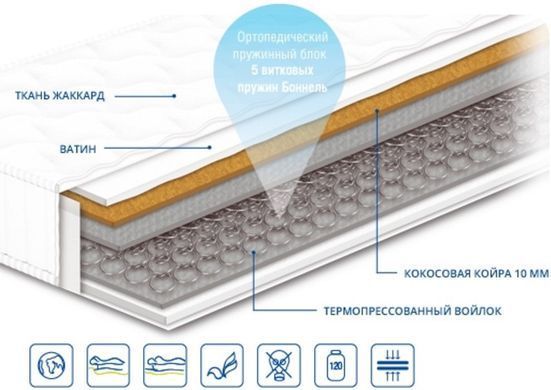 Матрац пружинний Чемпіон Cocos 1 Сонлайн 70x190 см &mdash; Morfey.ua