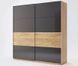 Шкаф-купе Рамона 2,0м MiroMark 200x62 см