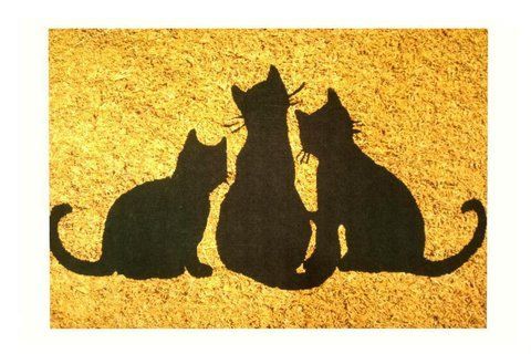 Килимок придверний PEPPINA KAPI UC KEDI 40*60 &mdash; Morfey.ua