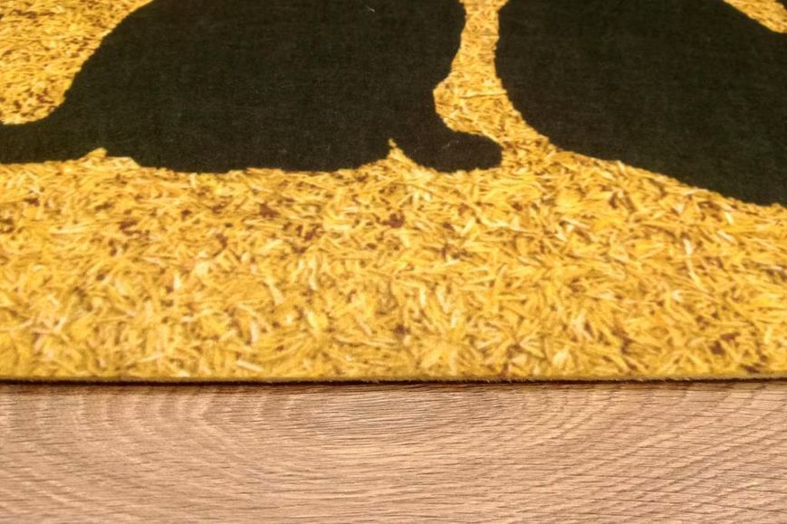 Килимок придверний PEPPINA KAPI UC KEDI 40*60 &mdash; Morfey.ua