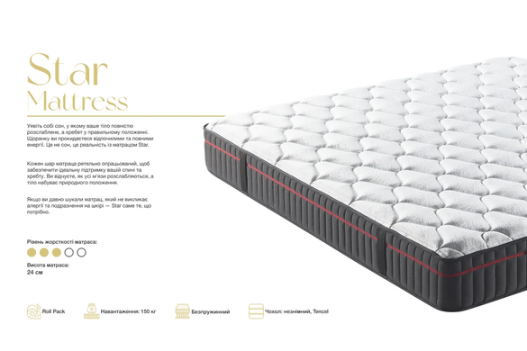 Ортопедичний безпружинний матрац FDM Star (Стар) 90x200 см &mdash; Morfey.ua