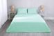 Комплект постельного белья Good-Dream Сатин Mint 2-x Спальный 175x210 (GDSMBS175210)