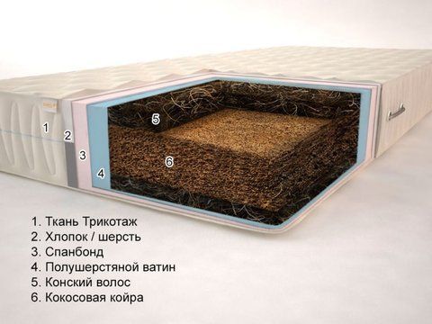 Матрас беспружинный Sonel Пегаc Гранд Плюс 12 80x190 см &mdash; Morfey.ua