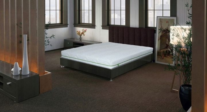 Матрац пружинний Evolution Fusion Duo 70x190 см &mdash; Morfey.ua