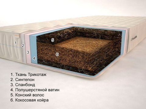 Матрас беспружинный Sonel Пегаc Гранд 12 80x190 см &mdash; Morfey.ua