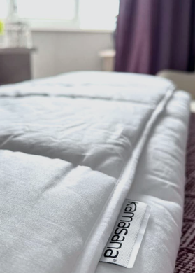 Ковдра силіконізована Basic 300 Cotton Cotopur 140x205 см &mdash; Morfey.ua