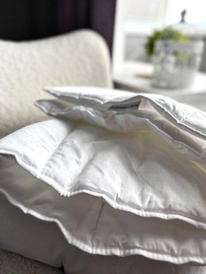 Ковдра силіконізована Basic 300 Cotton Cotopur 140x205 см &mdash; Morfey.ua