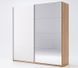 Шкаф-купе Асти (Белый глянец/Зеркало) MiroMark 250x62 см